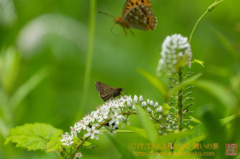 ../Images/7R240721 (87).jpg